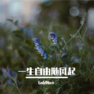 向着云端的梦想之旅