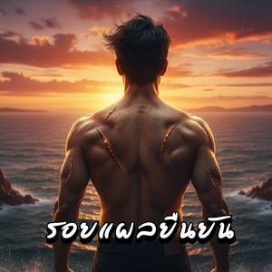 รอยแผลยืนยัน