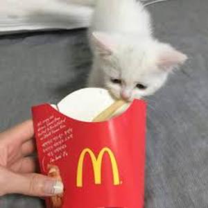 sigo pensando en ti