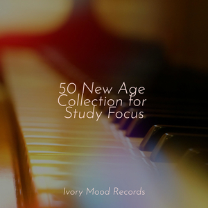 Soft Sands and Still Waters