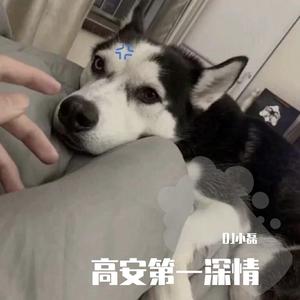 陈冠蒲-太多改版（DJ小磊 remix）