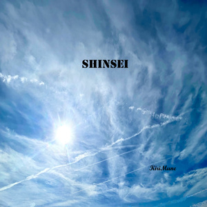 SHINSEI
