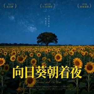 向日葵朝着夜 (Cover 单依纯)