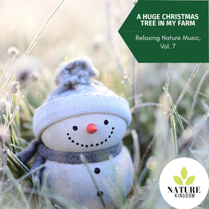 Joyous Midday Harmony of Ravens