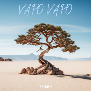 Vapo Vapo