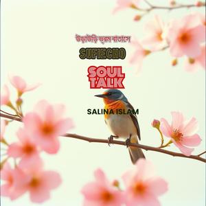 উড়াউড়ি ভ্রম বাতাসে