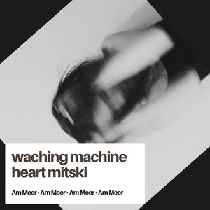 waching machine heart mitski (Rework)