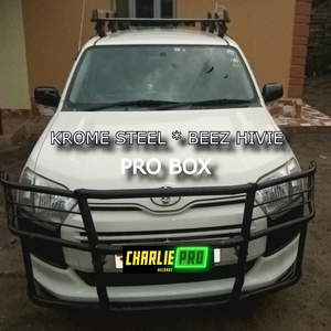 Pro Box