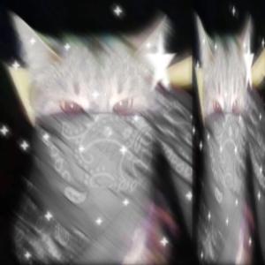 on track (feat. xxomm & vilse)