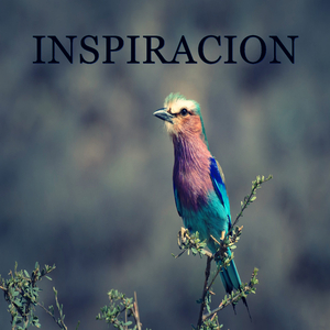 No te estoy diciendo que será fácil, te estoy diciendo que valdrá la pena