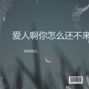 爱人啊你怎么还不来
