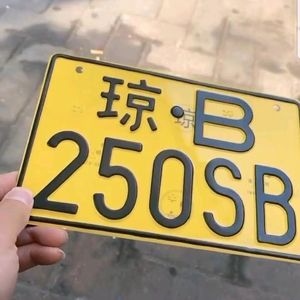 我来人间一趟-夏帆