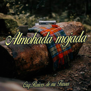 Almohada Mojada