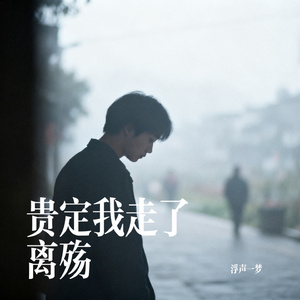 贵定我走了离殇