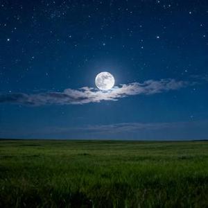 卓玛的星星 (Cover 小钢刀)