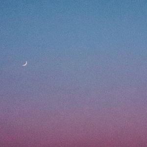 孤鸟的歌（翻自 墙角先生）