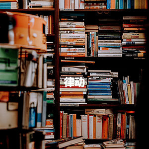 Magnificent Son Montuno Trumpet - Vibe for Calming Space