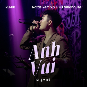 Anh Vui (Remix)