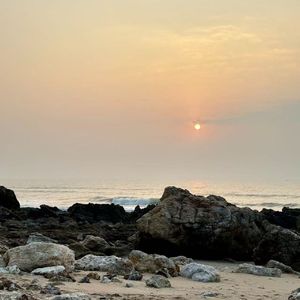 谢谢你来爱我