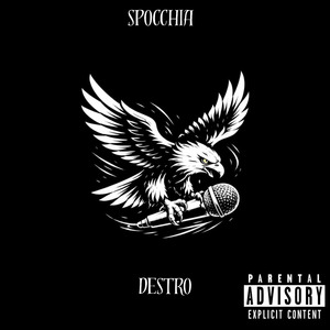 Spocchia