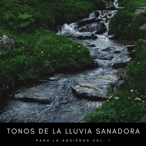 Meditación Con Fuertes Lluvias