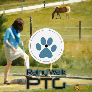 Rainy Walk