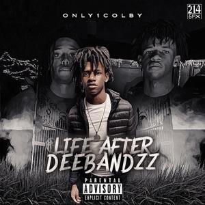 LLC (feat. Legobandz & Hbk.philie)
