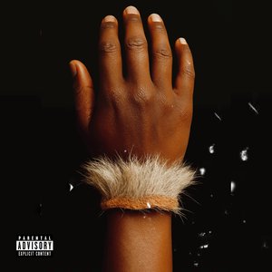 Kuyophela Izinhlamvu