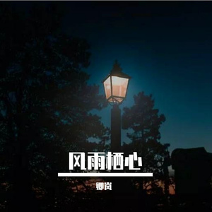 风雨栖心