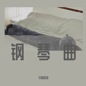 卡农钢琴曲弹奏