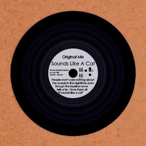 Sounds Like A Cat (Original Mix)