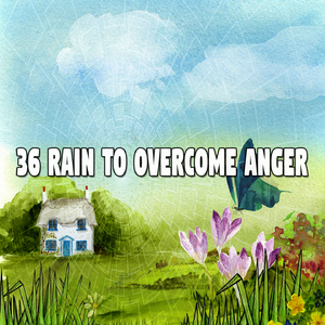 Rainstorm Rest