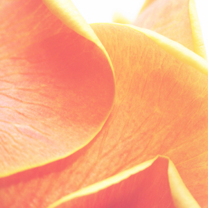 Barely Anything (Rain)