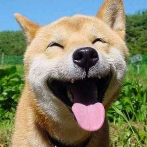 你欠我一个拥抱的清晨