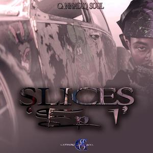 Slices(Twenty Threeted Mix)