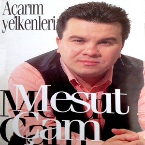 Bilmem Anlatabildim mi