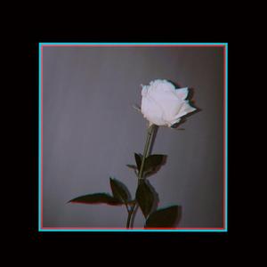 「FREE」“heart hurt”