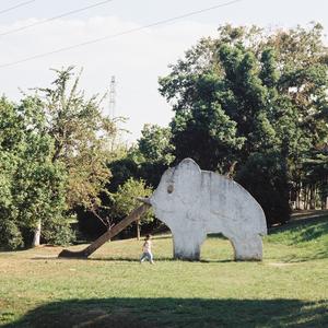 答案只有猫知道feat.猫大壮 (Only cat knows)