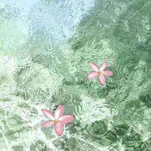 妈妈老师防沉迷系统崩坏实录