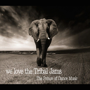 We Love the Tribal Jam (Hypnotikz Remixx)