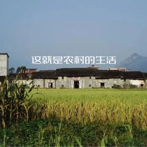 这就是农村的生活（酷狗）