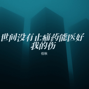 世间没有止痛药能医好我的伤
