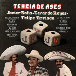 Por Qué No Fui Tu Amigo