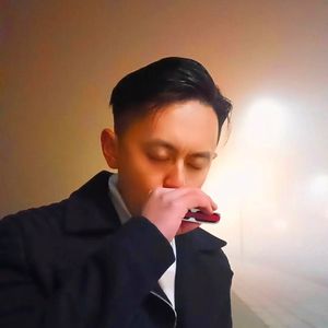 一生所爱（口琴+吉他）