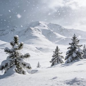 2002年的第一场雪