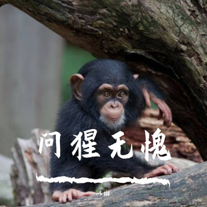 问猩无愧