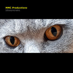 Idiosyncratic, Pt. 4 & 5