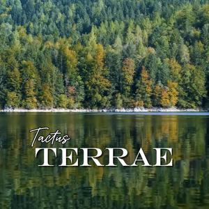 Echos Aeterna (feat. Sonus Vitae)