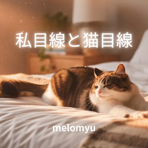 私目線と猫目線
