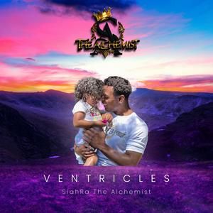Ventricles
